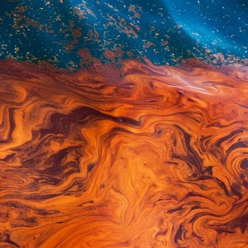 Close Up Pictures Reveal The Beautiful Side of Gulf Oil Spill