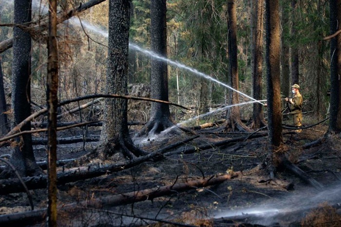 russia-forest-fire (30)