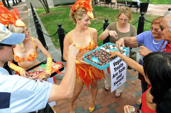 peta-rally-washington (6)