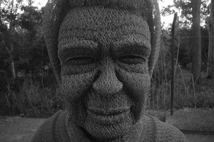 chicken-wire-portrait (5) chicken-wire-portrait (5)