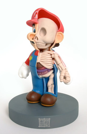 Cartoon Characters Mario. Anatomical Cartoon Characters