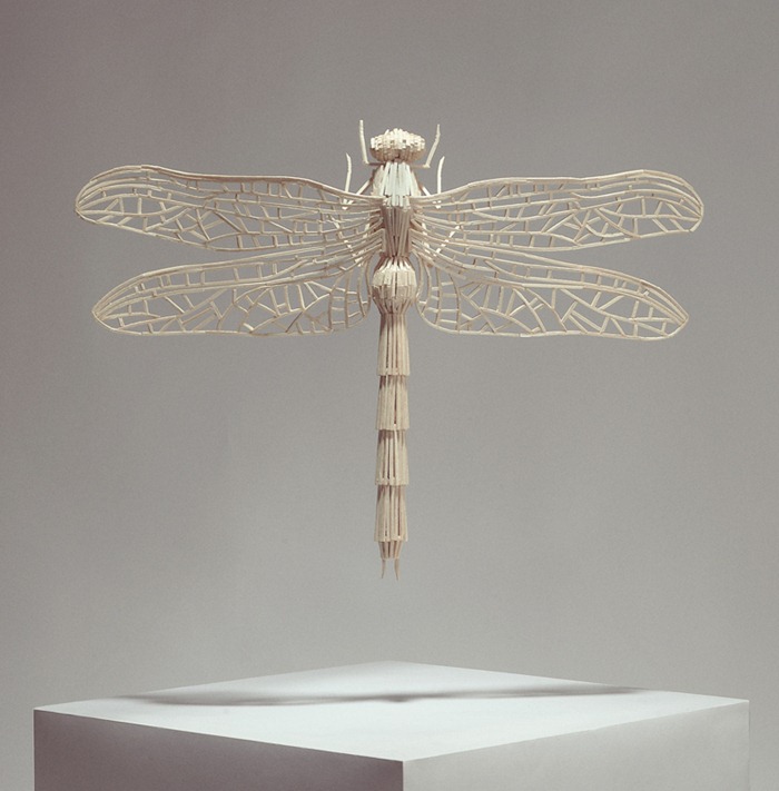matchstick-insects6 matchstick-insects6