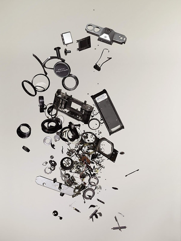 todd-mclellan006