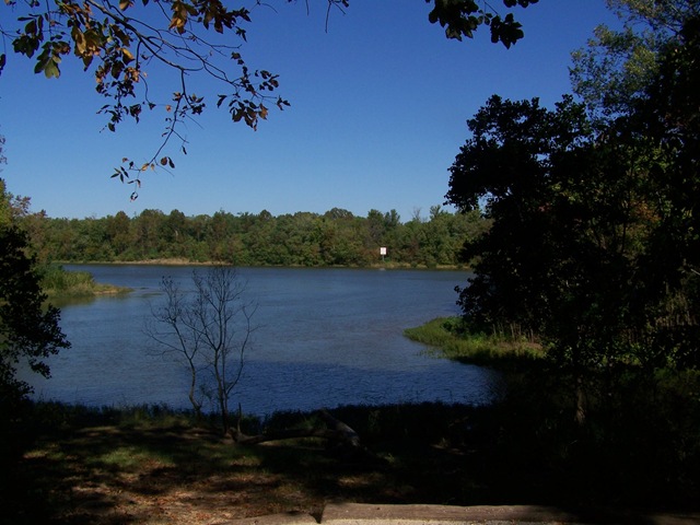 [20100052.jpg]