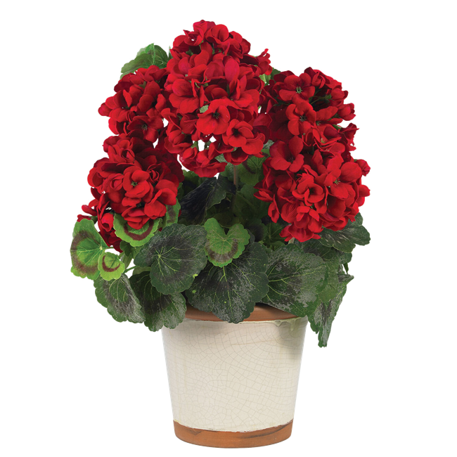 Vaso De Barro Com Flores Para Enviar Aos Amigos Compartilhar Face Codigo 2276