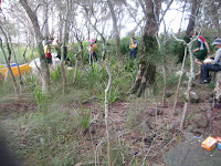 IMG_3284.JPG Photo