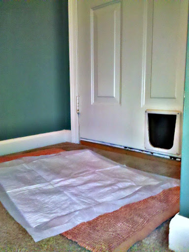 Puppy Pad
