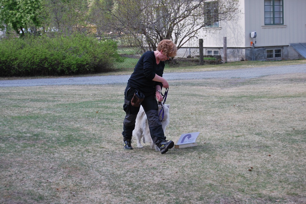 [Rallylydighet mai 2011 016.jpg]