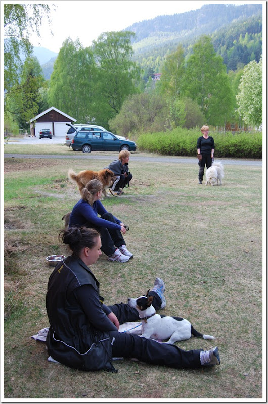 Rallylydighet mai 2011 019