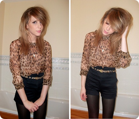 OOTN leopard