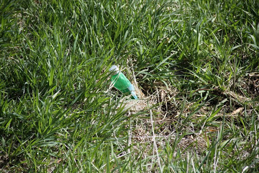 A lone bottle