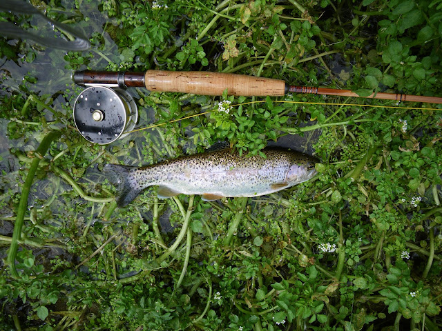 Summer Rainbow - Verdigre Creek