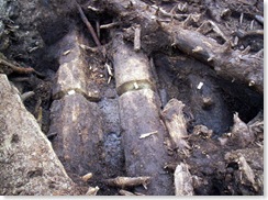 Mogge di Ertola_scavo archeologico