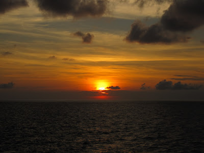 IMG_2943_resize.JPG