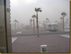 dust storm dust storm