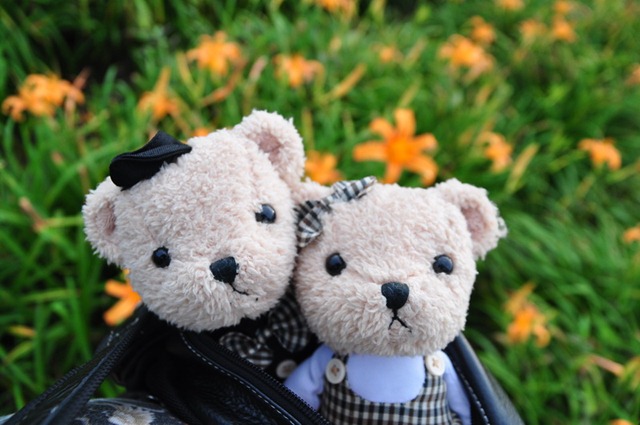 [20100824228_resize4.jpg]