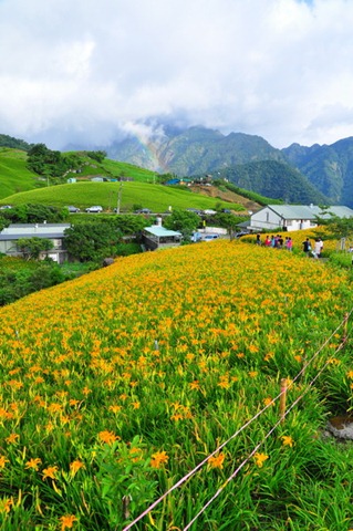 [20100824154_resize7.jpg]