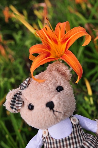 [20100824783_resize3.jpg]