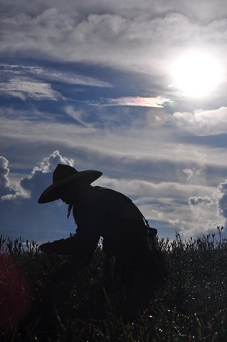 [20100824557_resize3.jpg]