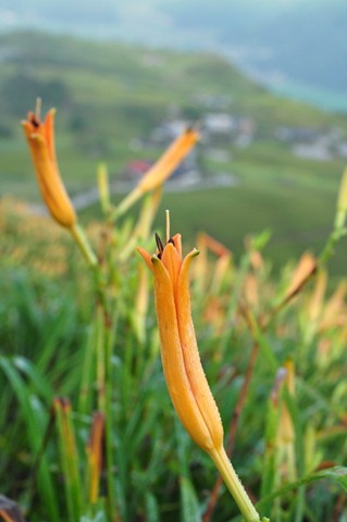 [20100824476_resize3.jpg]