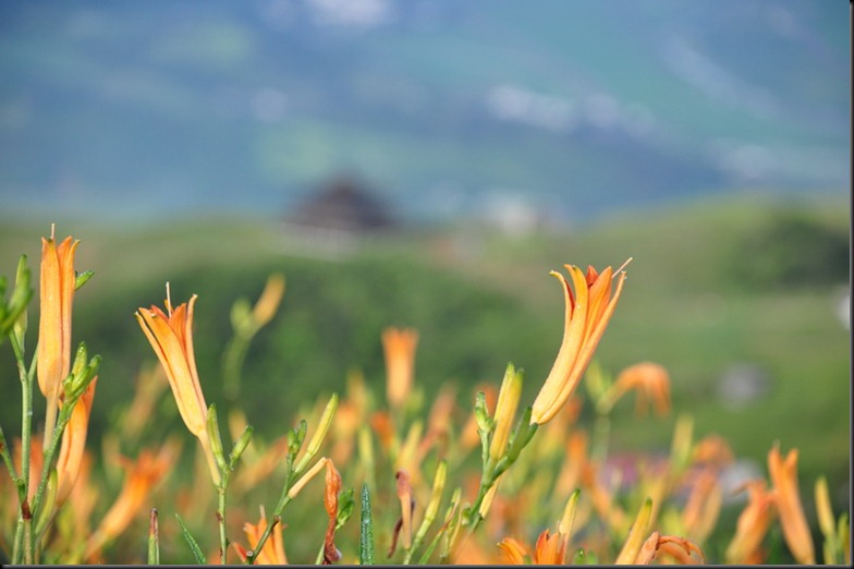 20100824 (577)_resize