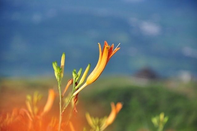 [20100824583_resize3.jpg]