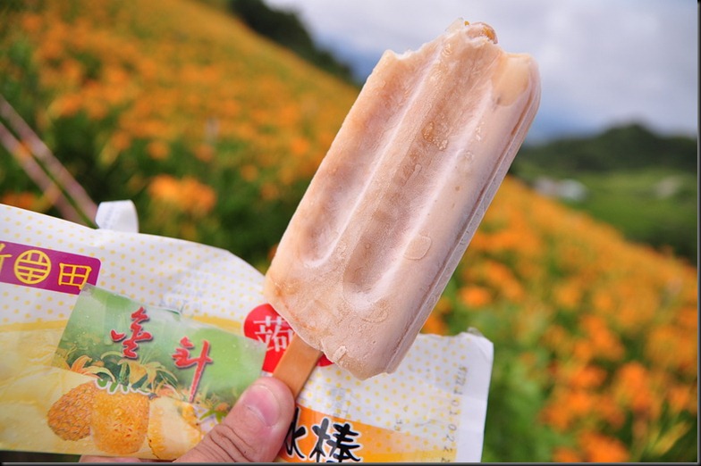 20100824 (116)_resize