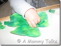 IMG_4527 IMG_4527
