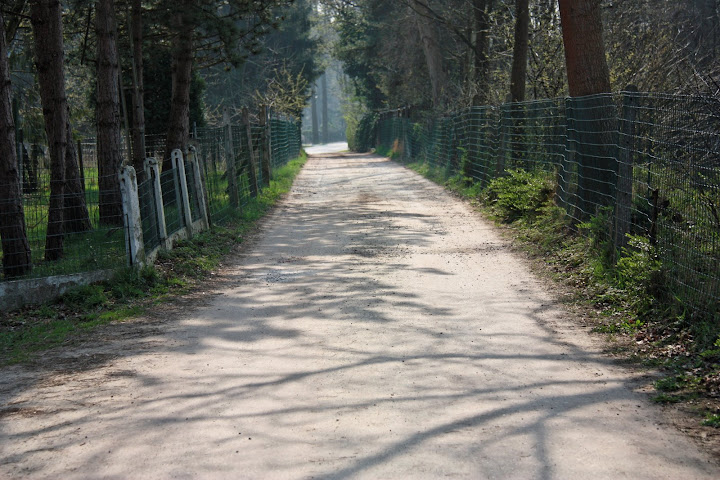 Slechte weg met kuilen naar de camping