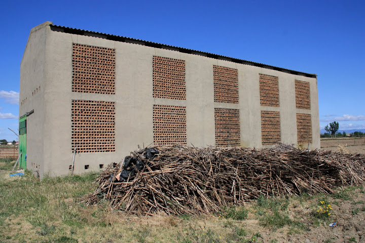 Hier stonden er vele van.