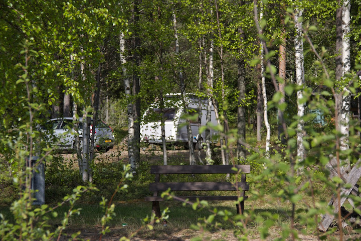 Mooi tussen de bomen.