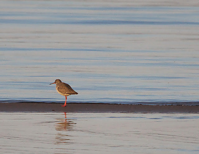 Op het strand van de camping