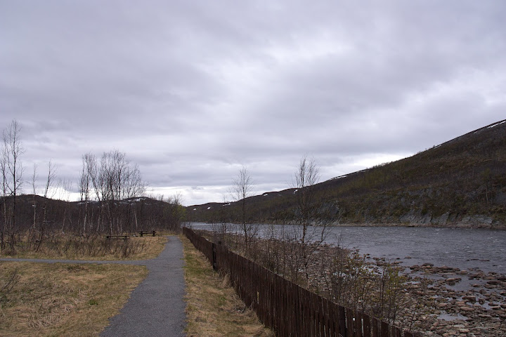 Nog geen blaadje aan de bomen.
