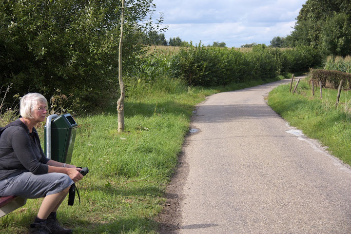 In de verte was een buizerd.