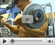 Work Out Bodybuilding Video Tube