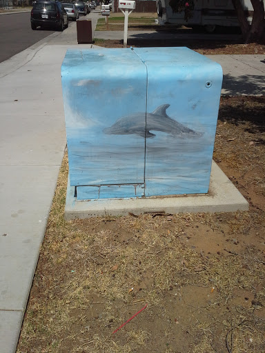 Dolphin Utility Box