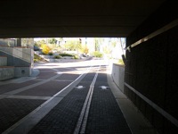 UA Bike Path.jpg UA Bike Path