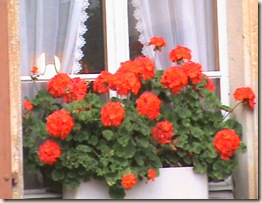 DSC00418 DSC00418