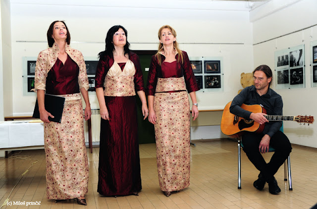 dia-pregledna 2009_6.JPG