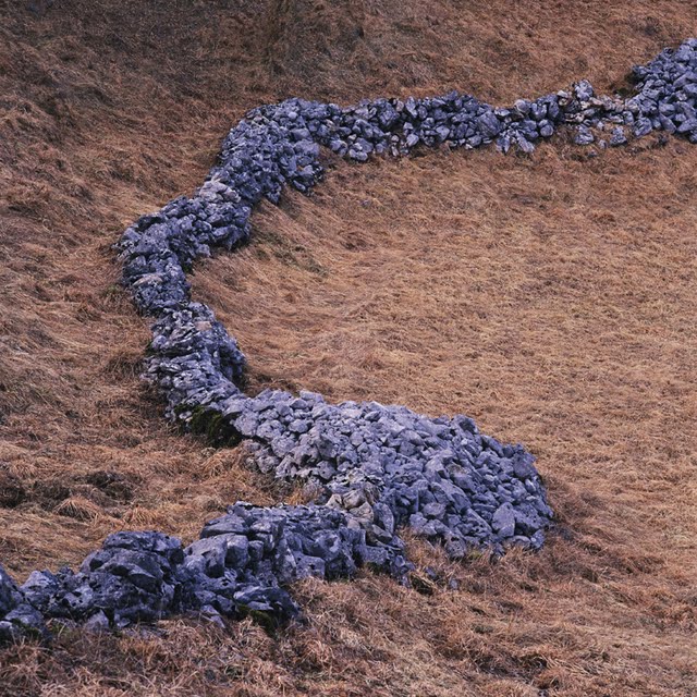 Rafael Podobnik_006_Kača.jpg