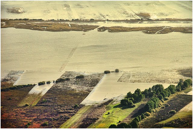 čotar_suzana_predstavitev 12.jpg