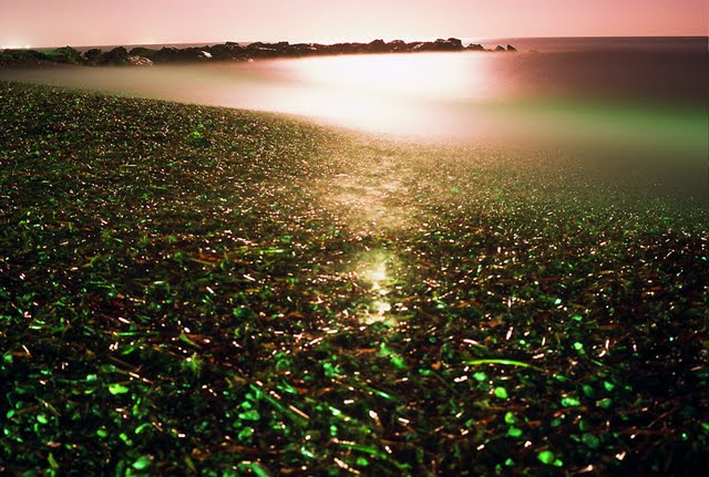 J_Kustrin_Ob luni_v_Toscani.jpg