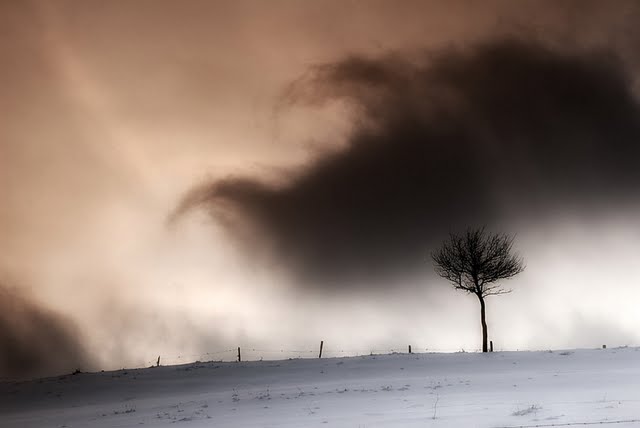 2N_Damjan _Sedevcic_Sam.jpg