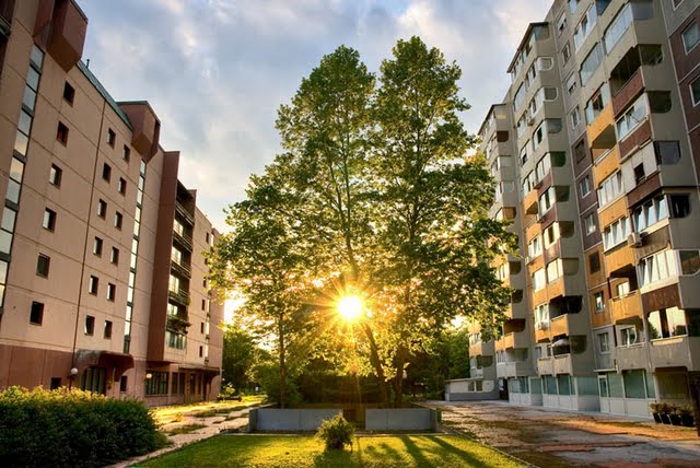 D_Uros_Cernigoj_Zahod v Dravljah..jpg