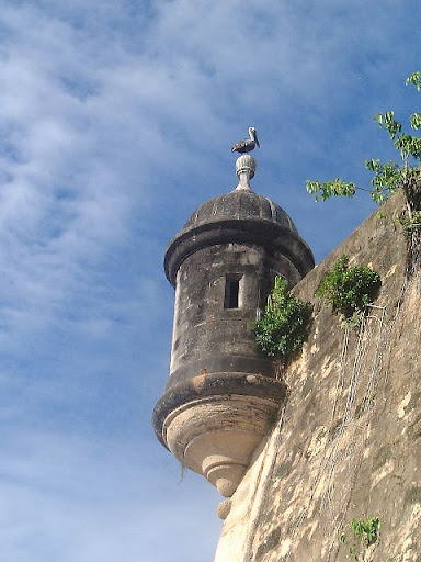 garrita
