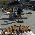 fangfrischer Omul