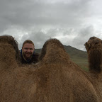 3 Höcker