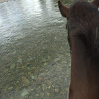 glasklares Wasser