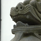 Drache