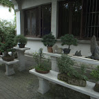 Pflanzen